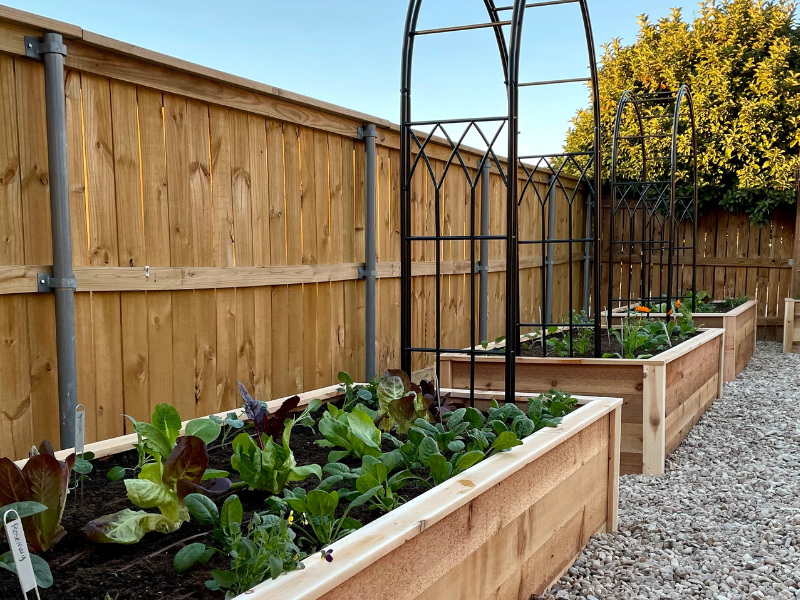 Common Pitfalls in DIY Raised Bed Gardening and How to Avoid Them