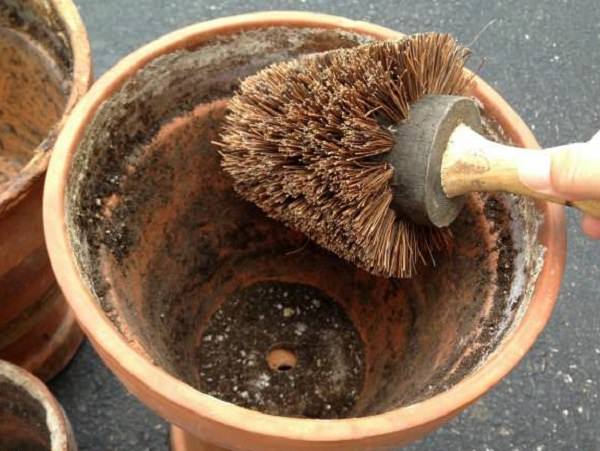 Clean Up the pot