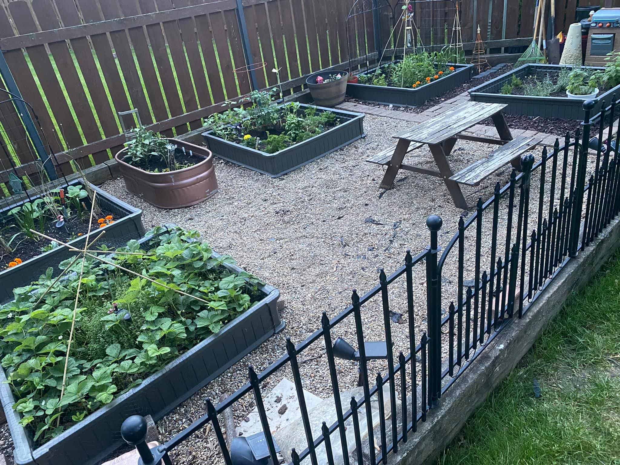 Used From Our Raised Beds Facebook Group