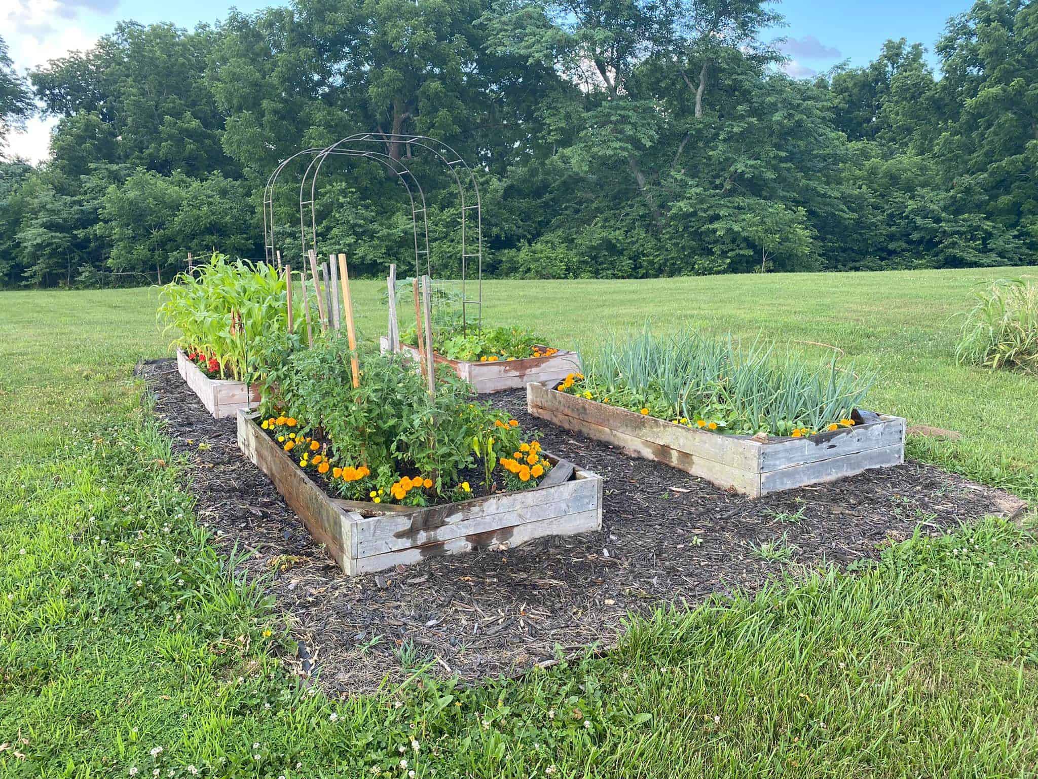Used From Our Raised Beds Facebook Group