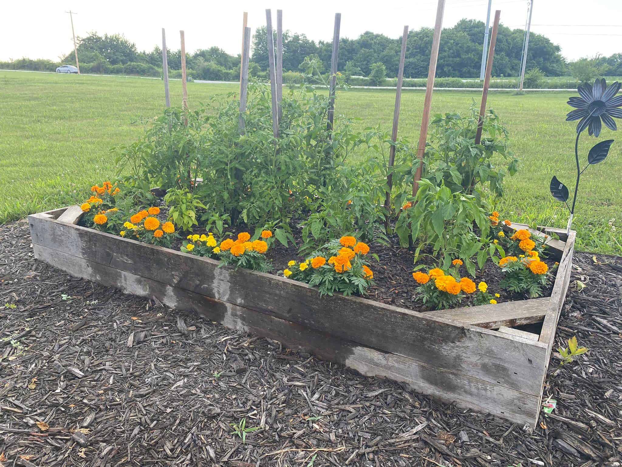 Used From Our Raised Beds Facebook Group