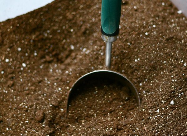 Choose Quality Potting Mix over Garden Soil
