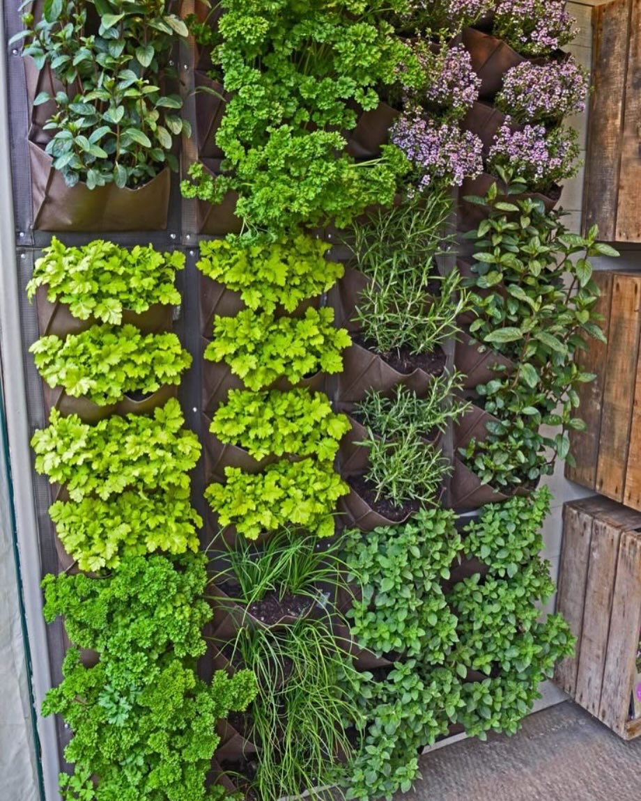Credit: garden.community_