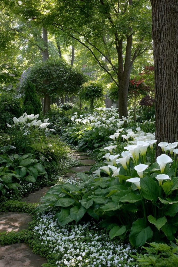 10. Where Serenity Blooms Under the Canopy
