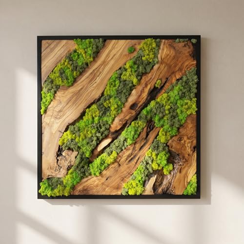 MIODUO DECOR Moss Wall Art Wood Framed Greenery Panel 24x24