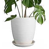 8 Inch Ceramic Planter Pot Round Plant Pot with Drainage Hole and Saucer Modern Flower Pot for Indoor Outdoor Plants Whi