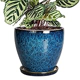 8 Inch Ceramic Planter Pot with Drainage Hole and Saucer, Ceraimc Plant Pot Round Flower Pot for Indoor Plants Outdoor G