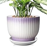 8 Inch Plant Pot, Ceramic Planter with Drainage and Saucer, Ceramic Pots for Plants, Indoor Plant pots,Ceramic Flower po
