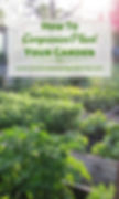 Free printable companion planting chart for vegetables and herbs included in these instructions on how to companion plan