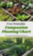 Free Printable Companion Planting Chart for Canada