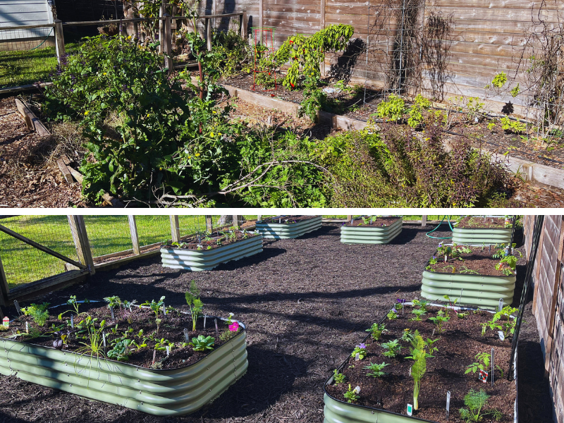 before and after example of too wide raised beds replaced with a better design with more space to walk around the beds.
