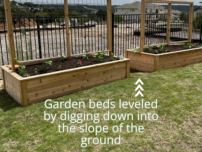 Leveled raised garden beds. Image of two cedar raised garden beds with central trellis.