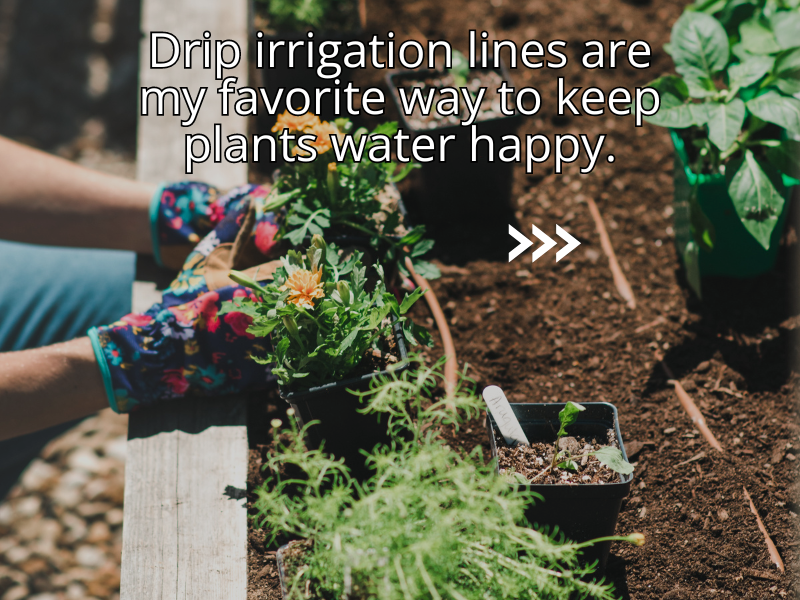 Image pointing out that drip irrigation is the best way to water garden beds.