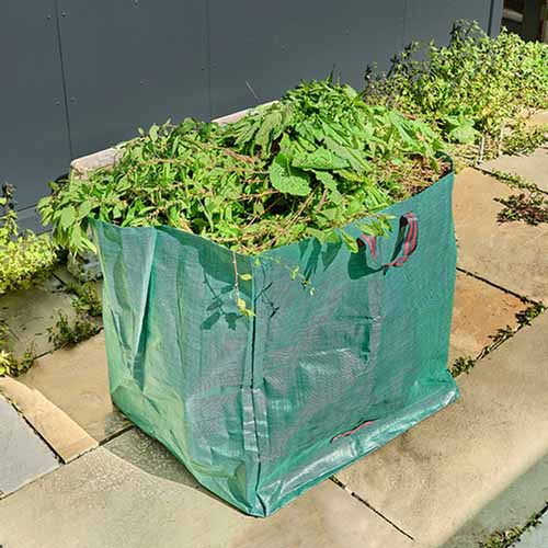 A close up square image of a green garden cleanup bag filled with garden debris.