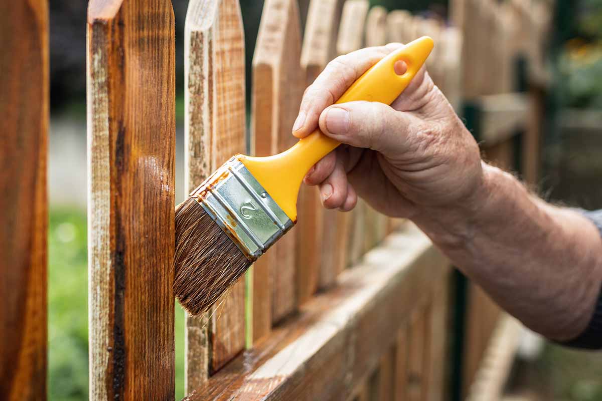 A close up horizontal image of a hand from the right of the frame using a paintbrush to oil a wooden fence outdoors.