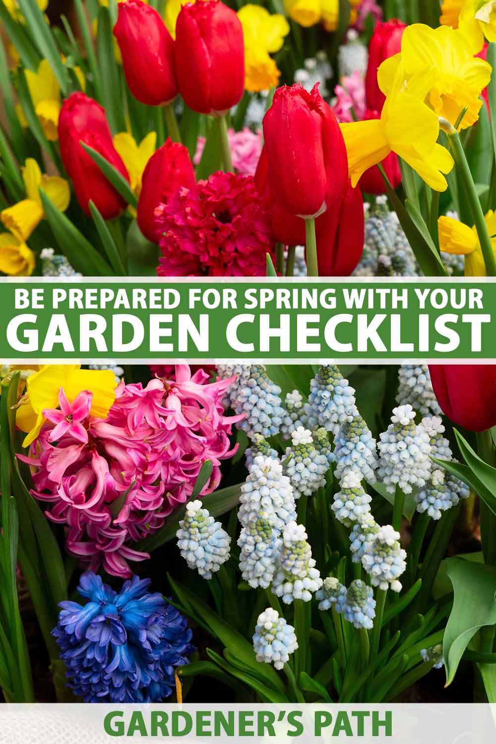 A close up vertical image of a variety of different spring flowers. To the center and bottom of the frame is green and w