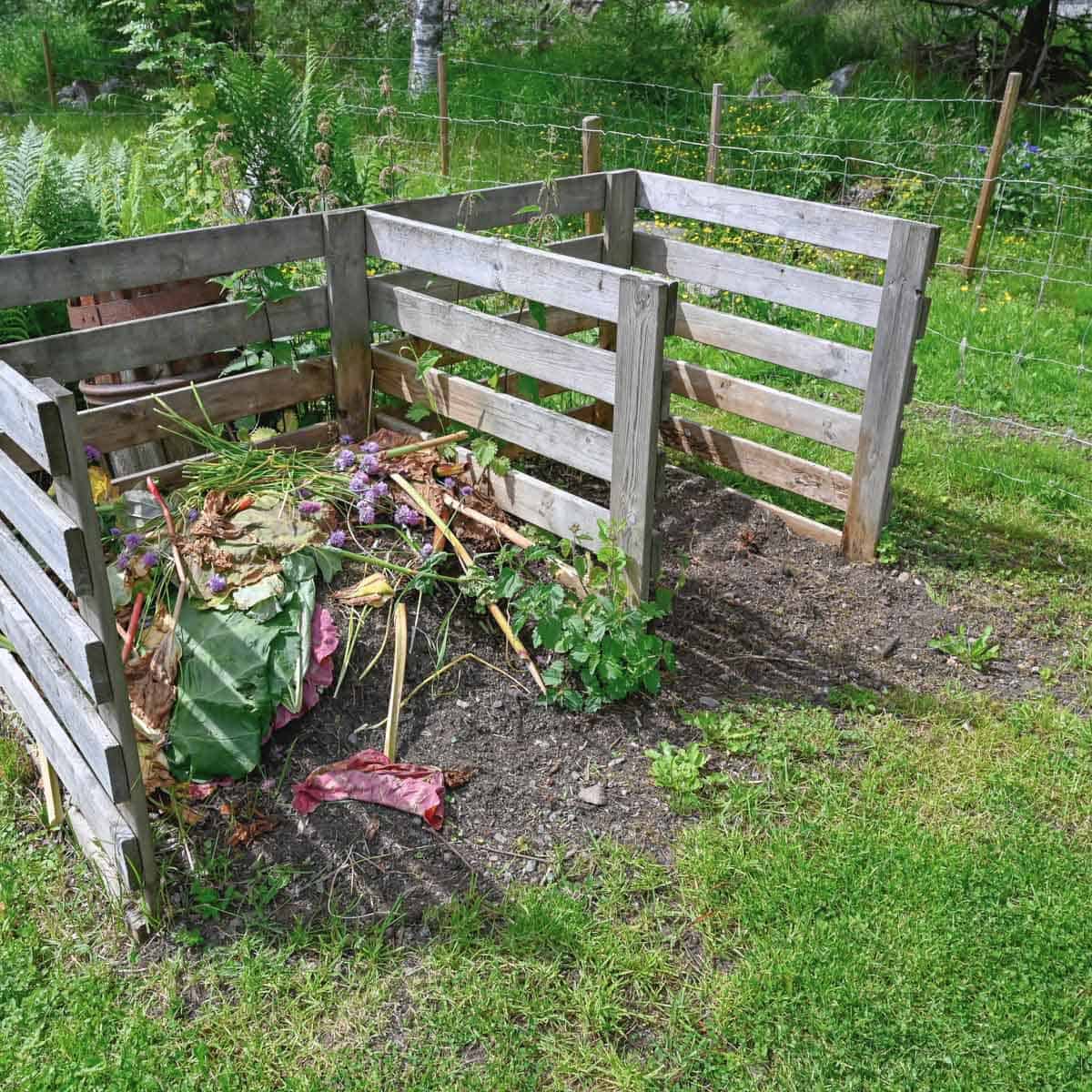 Garden compost bin area with wooden fencing and compost materials.