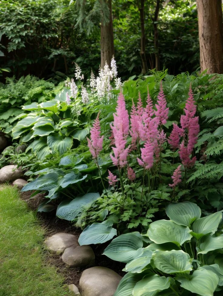 8. Lush Serenity: A Harmonious Shade Garden Design
