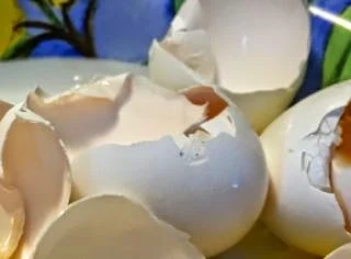 egg shells in a plate.