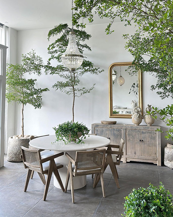 Indoor greenery with rustic furniture creating fresh and stylish home decor ideas infused with designer insights and nat