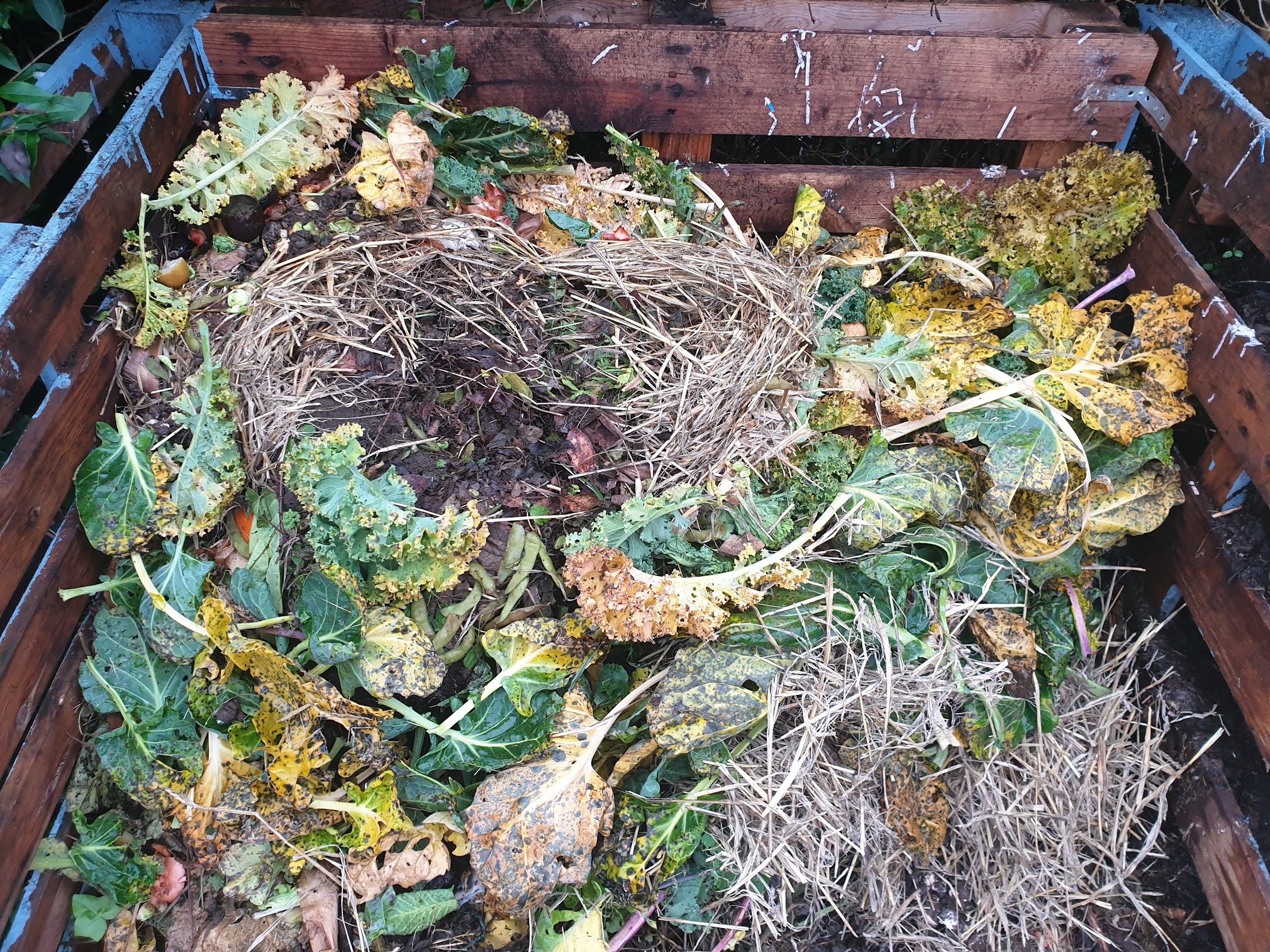 My original compost bin, pictured today. The open side front makes it easy to pile up the compost, and as it starts to f